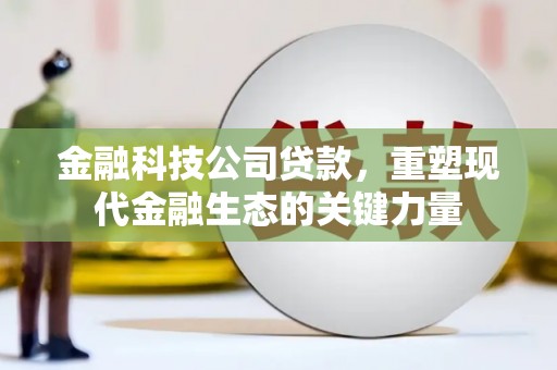 小金金融科技公司贷款，重塑现代金融生态的关键力量