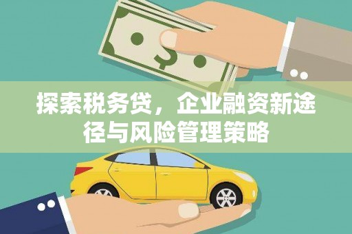 小金探索税务贷，企业融资新途径与风险管理策略
