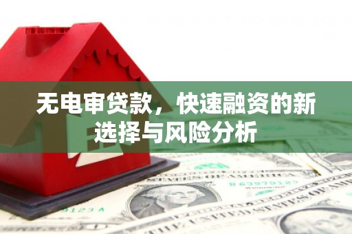 小金无电审贷款，快速融资的新选择与风险分析