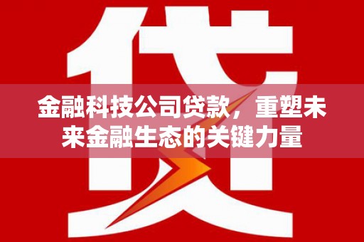 小金金融科技公司贷款，重塑未来金融生态的关键力量