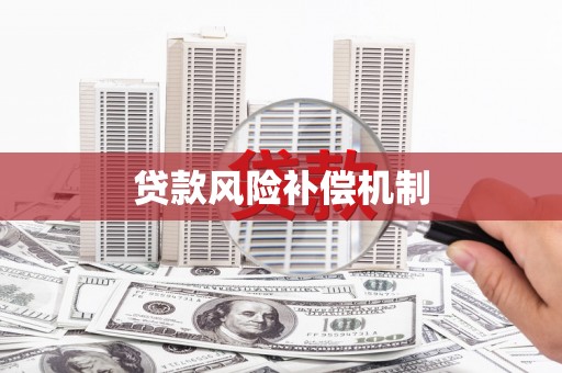小金贷款风险补偿机制