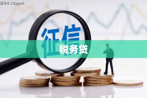 小金税务贷