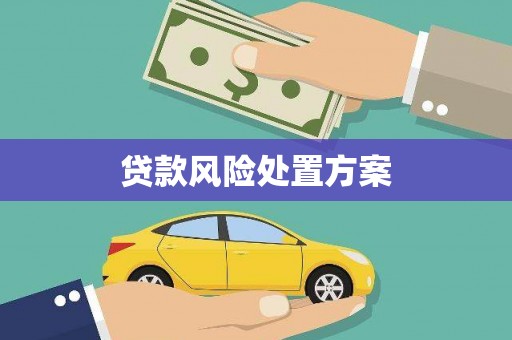 小金贷款风险处置方案