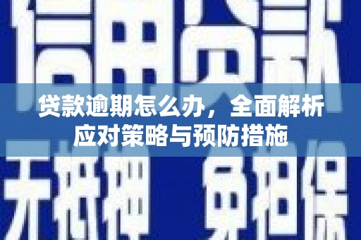 小金贷款逾期怎么办，全面解析应对策略与预防措施