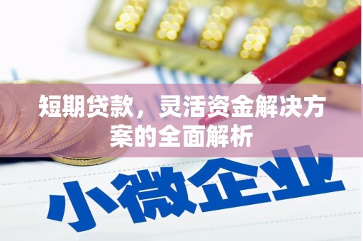 小金短期贷款，灵活资金解决方案的全面解析