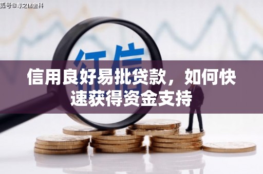 小金信用良好易批贷款，如何快速获得资金支持