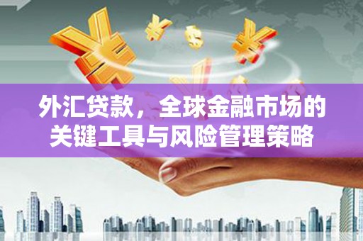 小金外汇贷款，全球金融市场的关键工具与风险管理策略