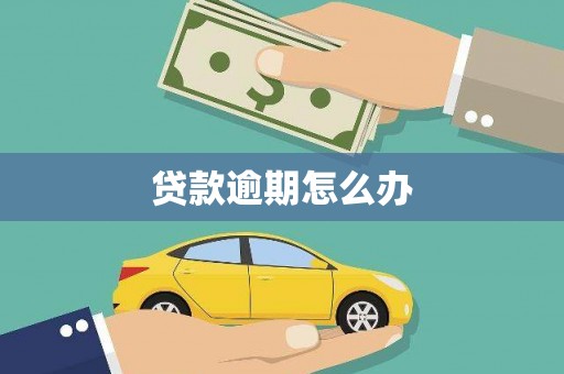 小金贷款逾期怎么办