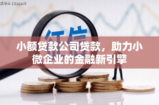 小金小额贷款公司贷款，助力小微企业的金融新引擎