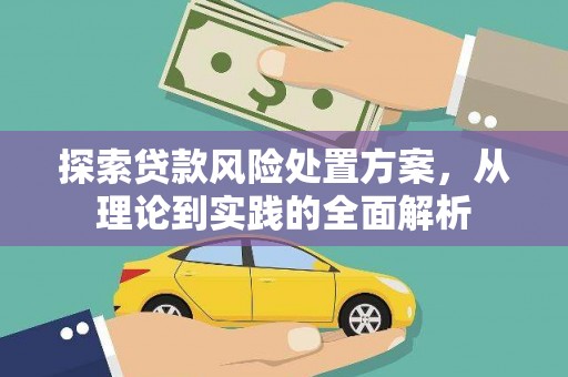 小金探索贷款风险处置方案，从理论到实践的全面解析