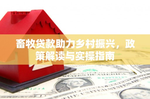 小金畜牧贷款助力乡村振兴，政策解读与实操指南