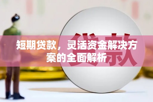 小金短期贷款，灵活资金解决方案的全面解析