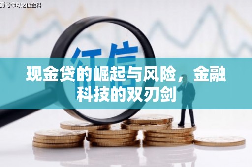 小金现金贷的崛起与风险，金融科技的双刃剑