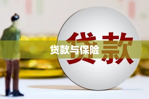 小金贷款与保险