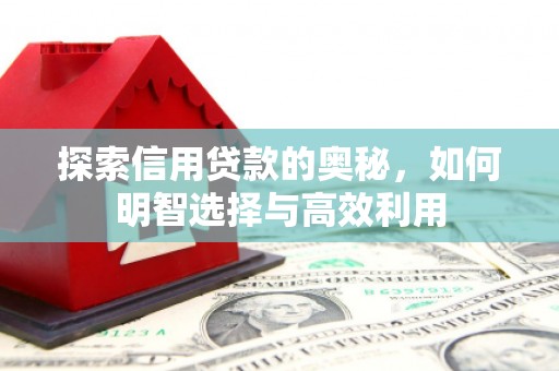 小金探索信用贷款的奥秘，如何明智选择与高效利用