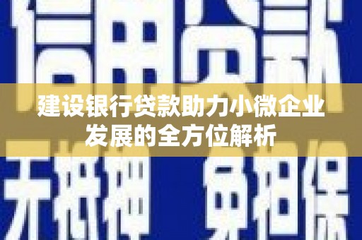 小金建设银行贷款助力小微企业发展的全方位解析