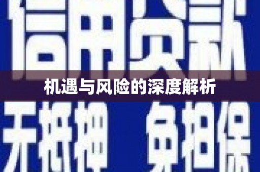 小金机遇与风险的深度解析