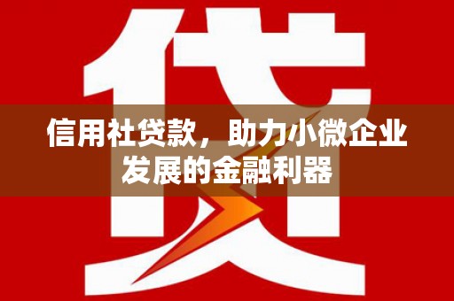 小金信用社贷款，助力小微企业发展的金融利器