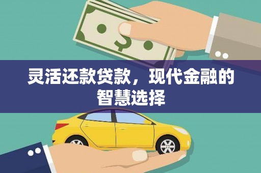 小金灵活还款贷款，现代金融的智慧选择