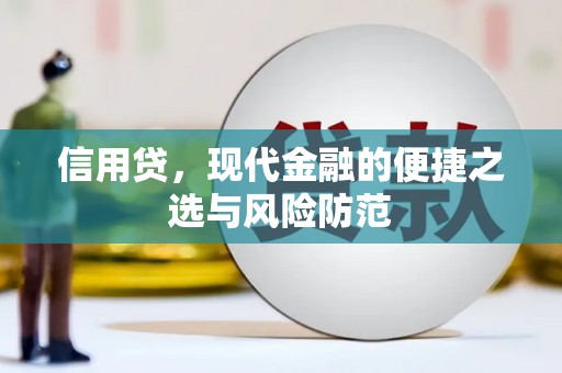 小金信用贷，现代金融的便捷之选与风险防范