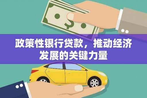 小金政策性银行贷款，推动经济发展的关键力量