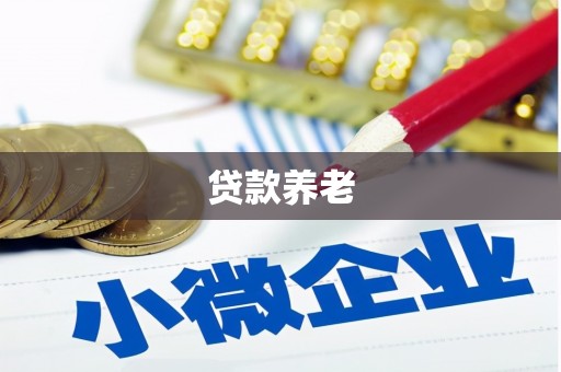 小金贷款养老