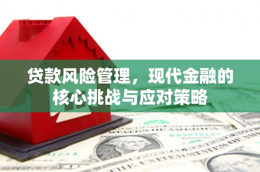 小金贷款风险管理，现代金融的核心挑战与应对策略