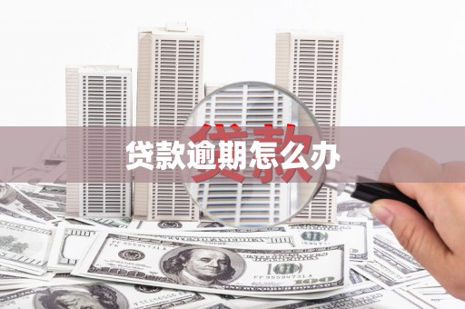 小金贷款逾期怎么办