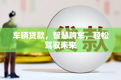小金车辆贷款，智慧购车，轻松驾驭未来