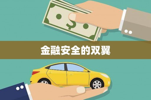 小金金融安全的双翼