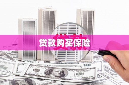 小金贷款购买保险