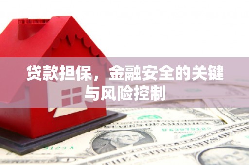 小金贷款担保，金融安全的关键与风险控制