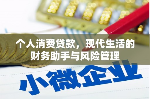 小金个人消费贷款，现代生活的财务助手与风险管理