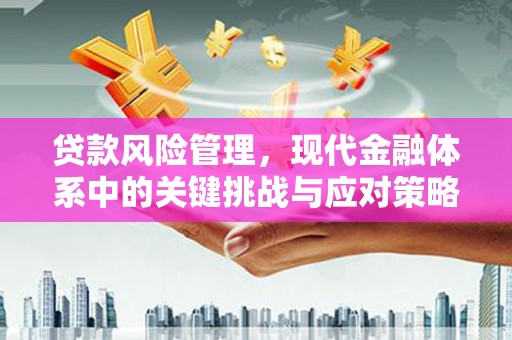 小金贷款风险管理，现代金融体系中的关键挑战与应对策略