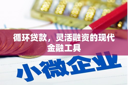 小金循环贷款，灵活融资的现代金融工具