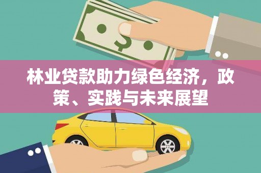 小金林业贷款助力绿色经济，政策、实践与未来展望