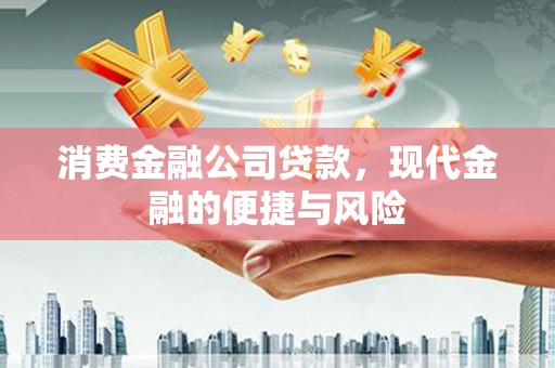 小金消费金融公司贷款，现代金融的便捷与风险