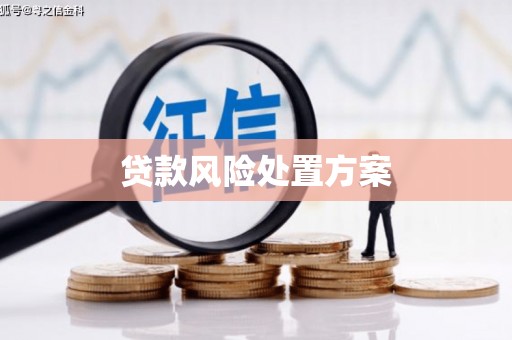 小金贷款风险处置方案