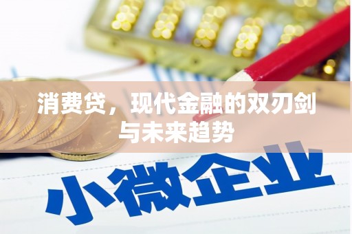 小金消费贷，现代金融的双刃剑与未来趋势