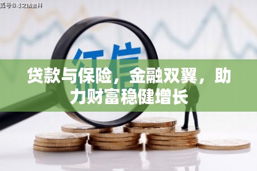 小金贷款与保险，金融双翼，助力财富稳健增长