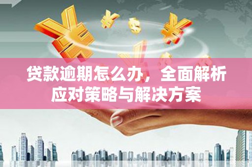 小金贷款逾期怎么办，全面解析应对策略与解决方案