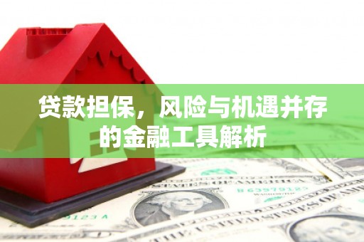 小金贷款担保，风险与机遇并存的金融工具解析