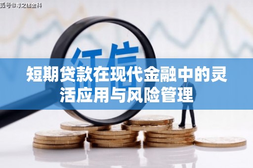 小金短期贷款在现代金融中的灵活应用与风险管理