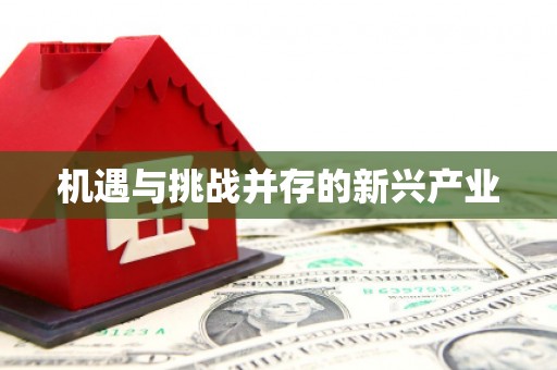 小金机遇与挑战并存的新兴产业