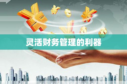 小金灵活财务管理的利器