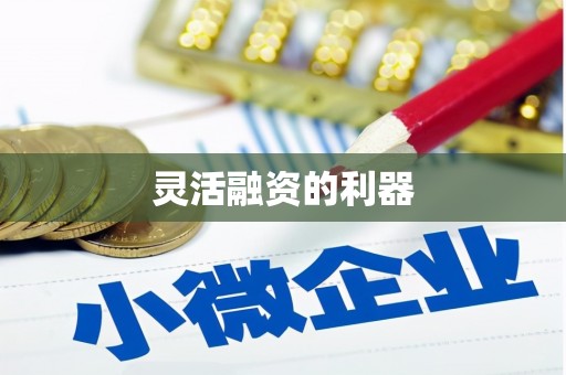 小金灵活融资的利器