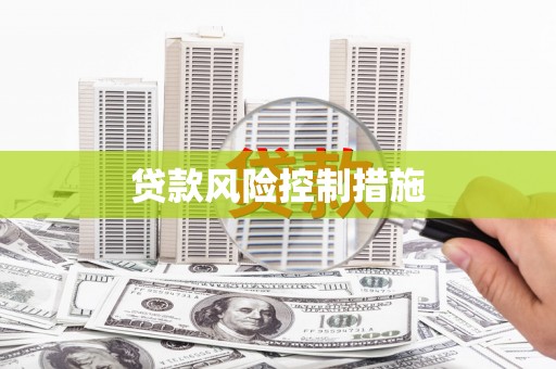 小金贷款风险控制措施
