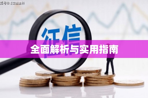 小金全面解析与实用指南