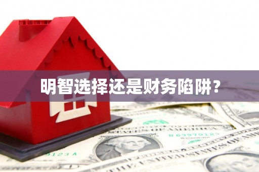 小金明智选择还是财务陷阱？