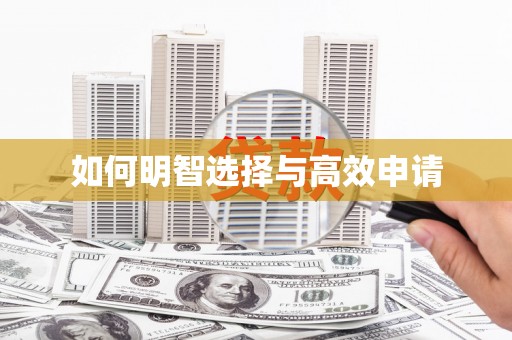小金如何明智选择与高效申请